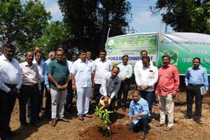 Celebration Of world environment Day 2023