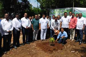 Celebration Of world environment Day 2023