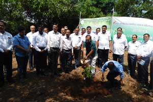 Celebration Of world environment Day 2023
