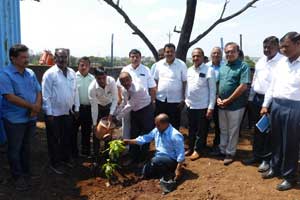 Celebration Of world environment Day 2023