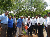 World Environment Day